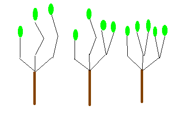 2+2+1.gif (3379 octets)