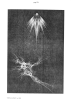 page221.jpg