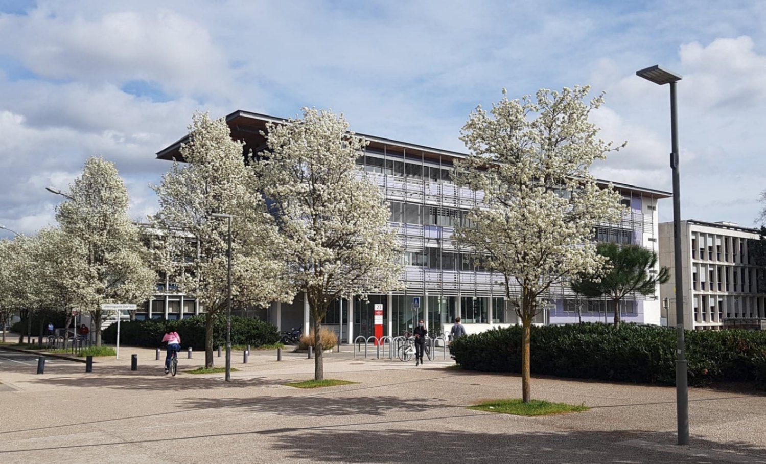 Université Paul Sabatier.
